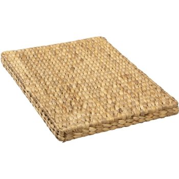 42 x 31 cm LID-TRAY